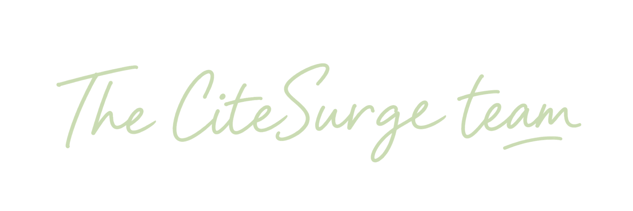 The CiteSurge team